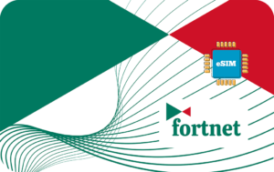 Airalo eSIM Fortnet 5 GB - 30 days